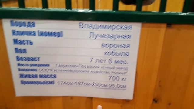 Москвадаги Чорва молларни зурлари "Золотая осень 2018" смотреть онлайн