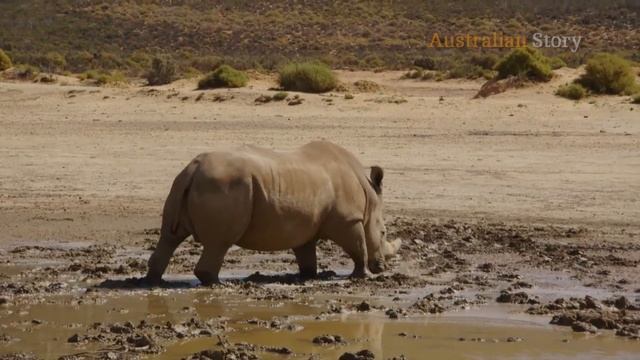Fatherhood and autism: The holiday that changed everything for teenage son | Australian Story смотреть онлайн