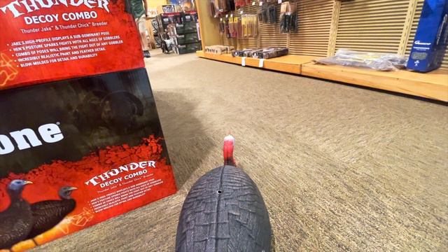 Basset Hound Goes Shopping at Cabela's (Surprise Ending!!) смотреть онлайн