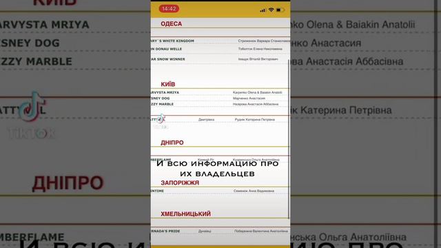 Собака ето друг человека❤️ смотреть онлайн