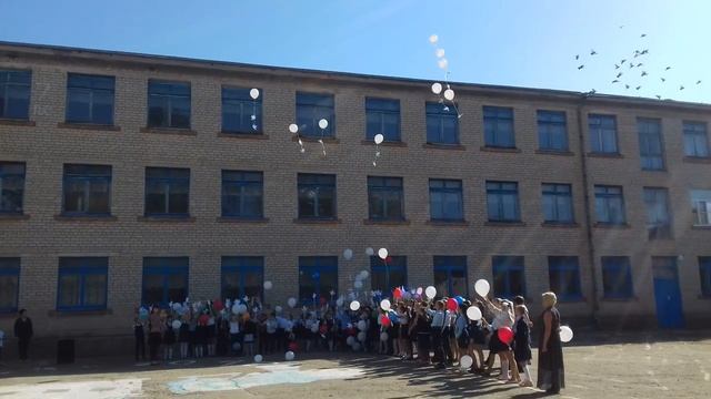 голубь мира смотреть онлайн