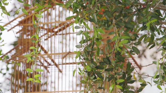 Create a Table: Celebrate Summer with Cocktails on the Veranda and a Garden Dinner Party in Savanna смотреть онлайн