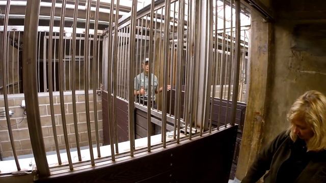 Hand Raising New Baby Bongo - Cincinnati Zoo смотреть онлайн