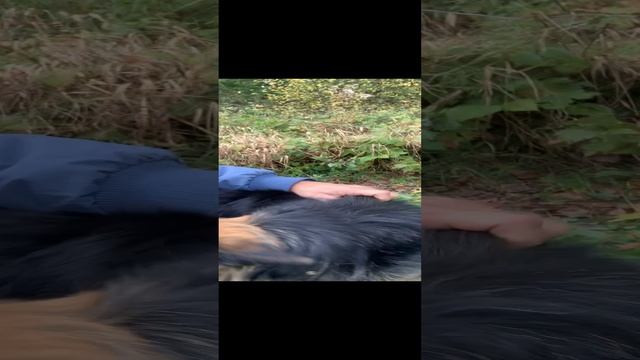 То что делает монтажник натяжных потолков в свободное от работы время смотреть онлайн