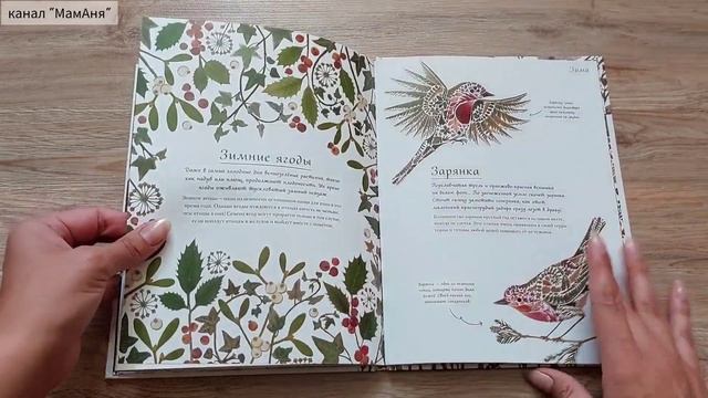Год в лесу/ Жизнь в океане/ Книги с УНИКАЛЬНЫМИ иллюстрациями смотреть онлайн