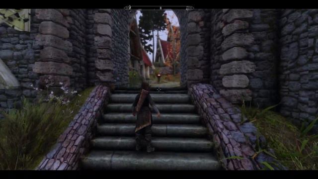 No. I Won't Run FNIS. | Skyrim