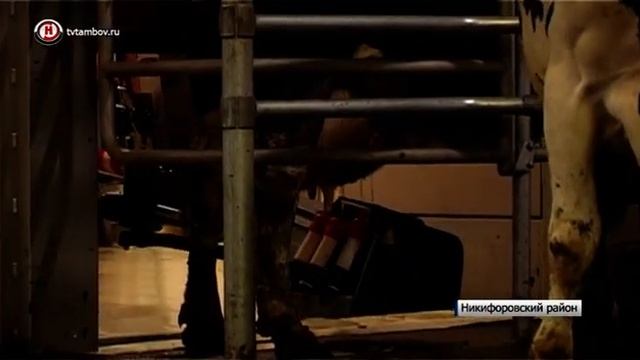 Губернатор Александр Никитин открыл роботизированную ферму в Никифоровском районе смотреть онлайн