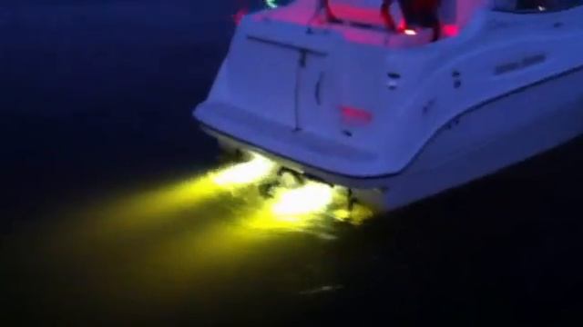 2002 Bayliner 245 с подсветкой смотреть онлайн