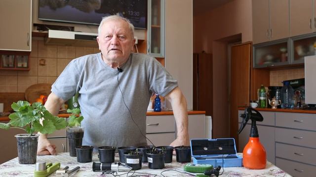 Как я за минуту определяю уровень сахаров в листьях и устраняю дефициты питания своих растений. смотреть онлайн