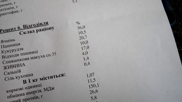 Четыре рецепта комбикорма для поросят смотреть онлайн