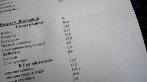 Четыре рецепта комбикорма для поросят