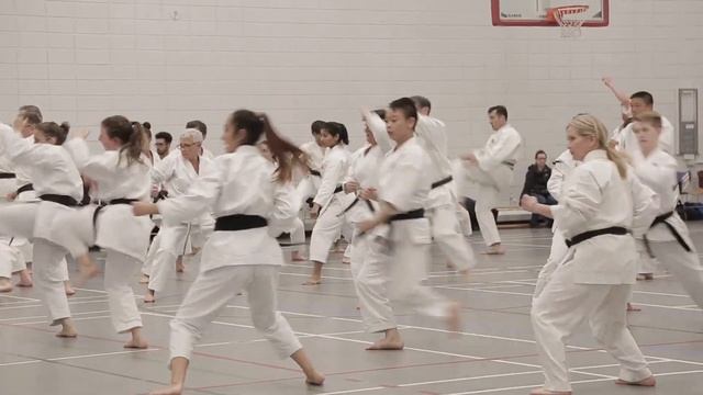 Shotokan Karate gathering смотреть онлайн