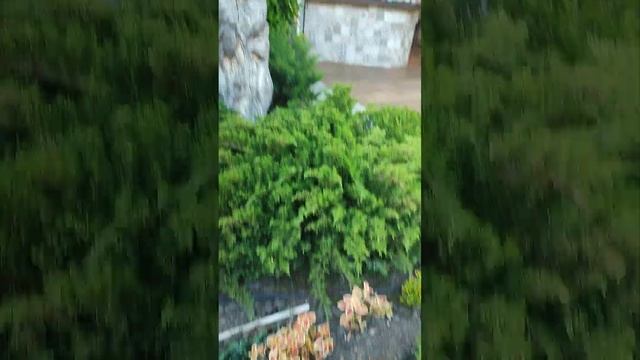 Клумбы Ч. 7. смотреть онлайн