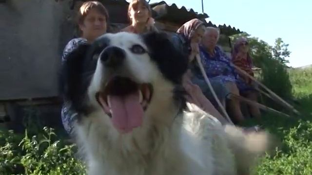 СЕЛЬСКАЯ РАБЫНЯ.mpg смотреть онлайн