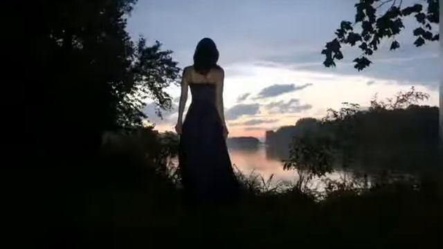 Стихотворение "Ночь". смотреть онлайн
