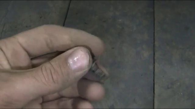 Быстрота оперативности: моментальное и качественное улучшение