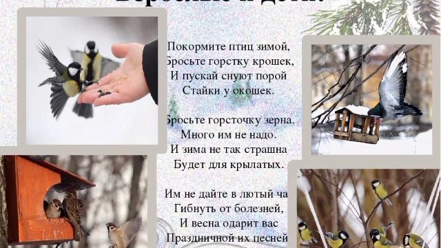 Как помочь птицам зимой смотреть онлайн