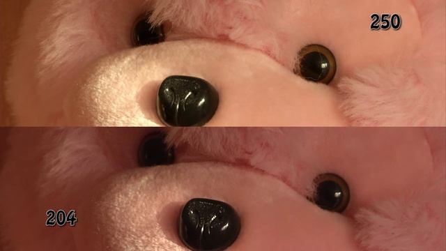 Panasonic HVX204 & HPX250 смотреть онлайн