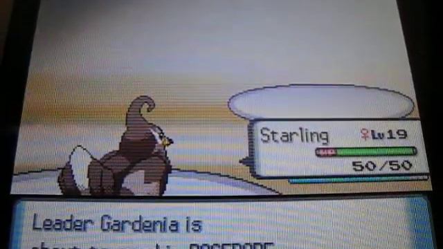Pokemon Diamond Cheats-Vs. Gym Leader #2, Gardenia смотреть онлайн