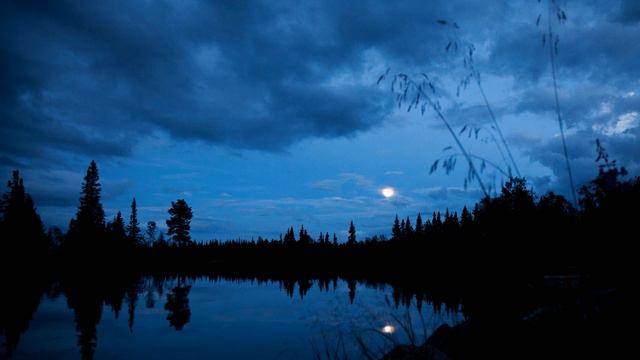 Nightime Ambience | Nature Sleep & Relaxation Sounds смотреть онлайн
