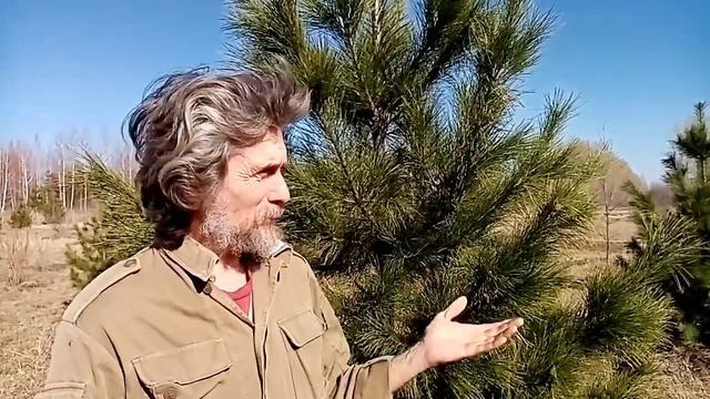 Чувства вырастившего кедры в своём Родовом Поместье смотреть онлайн