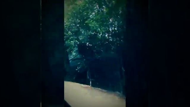 Едем в Курск смотреть онлайн
