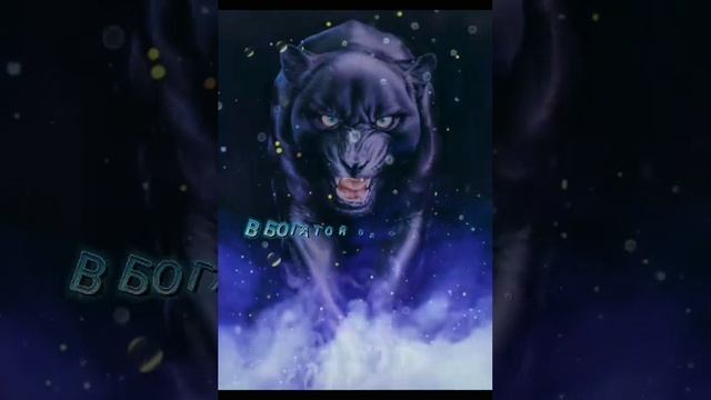 Tmate_20221207_6_x.mp4