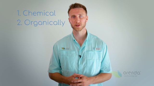How do Phosphates get into Swimming Pools? | Orenda Whiteboard смотреть онлайн