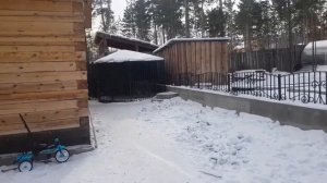 джек рассел терьер | джек рассел терьер играет с немецкой овчаркой |знакомство с джек рассел терьер