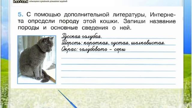 Задание 5 Про кошек и собак - Окружающий мир 2 класс (Плешаков А.А.) 1 часть смотреть онлайн