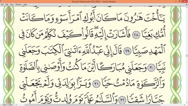 Шейх Айман Сувейд сура Марьям стр 307