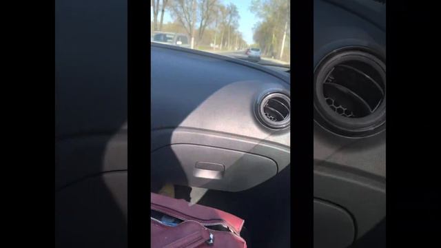 Прогулка с собаками смотреть онлайн