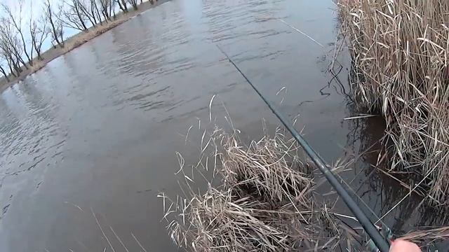 Сомик из под берега. смотреть онлайн