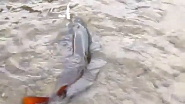 ТехноКатерные открытия