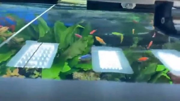 Аквариум Ferplast star 160