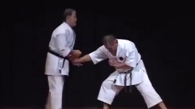 Morio Higaonna Demonstration