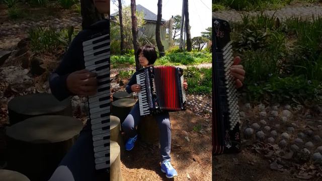 새와 아코디언의 듀엣(백학 crane) - 문지원 아코디언 (moon jiwon accordion) смотреть онлайн