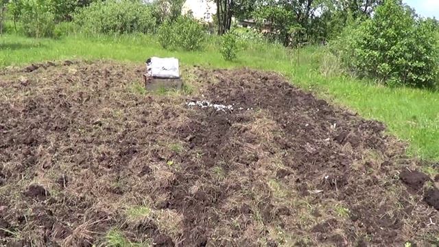 Мотоблок Салют 100 и не Поднятая целина! смотреть онлайн