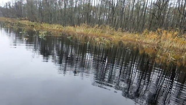 23 октября Рыбалка на старом русле Немана, неплохой бонус. смотреть онлайн