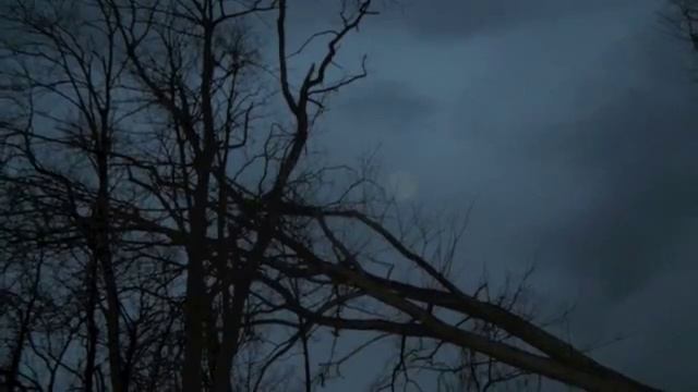 Om by Peruquois смотреть онлайн