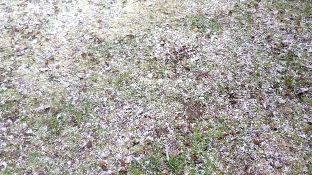 (78) Шашлыки на даче во время карантина смотреть онлайн