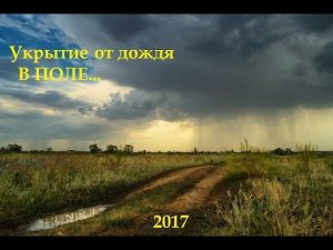 Укрытие от дождя в поле