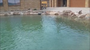 Строительство прудов в Краснодарском крае и Крыму