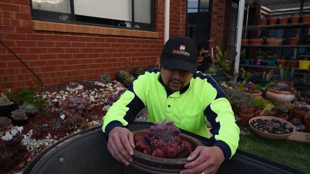 Patreon Sponsor - Gwen смотреть онлайн