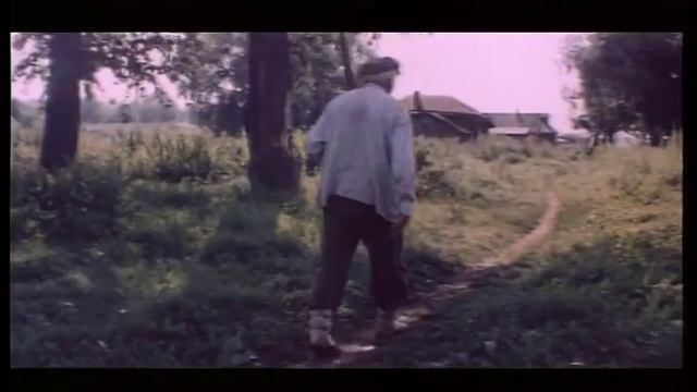 Звериные приключения и знакомства