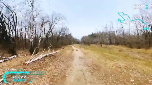Лесопарк "Оптимистов" смотреть онлайн