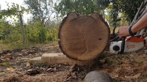 Аккумуляторная пила STIHL MSA 140 C-BQ