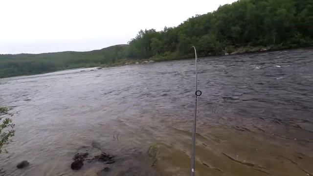 Рыбалка на Кольском . Семга и зеленая трубочка . Июль 2020 года . смотреть онлайн