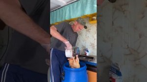 Засолкакур | Андрей Лунёв