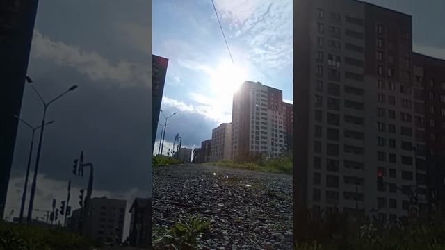 Скупаю все камеры.